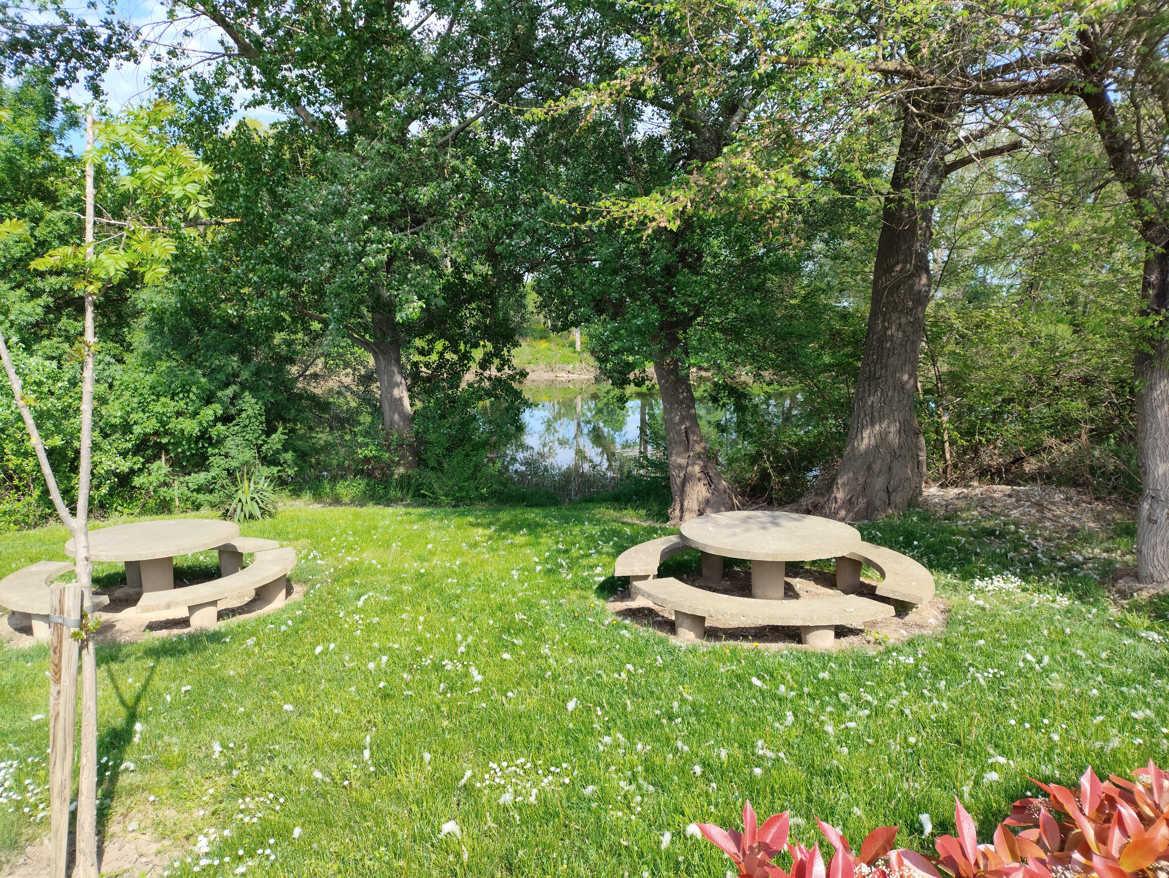 Parque Las Fuentes: Mesas - Río